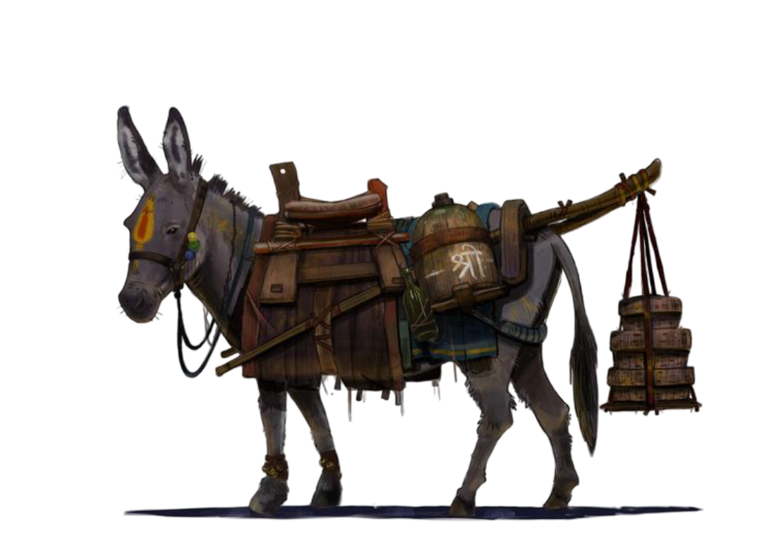 Donkey with gear